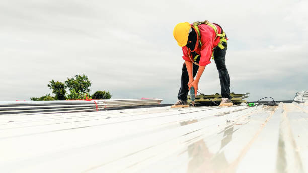 Best Solar Panel Roofing Installation  in Meadview, AZ