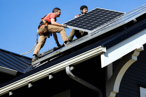 Best Roof Ventilation Installation  in Meadview, AZ