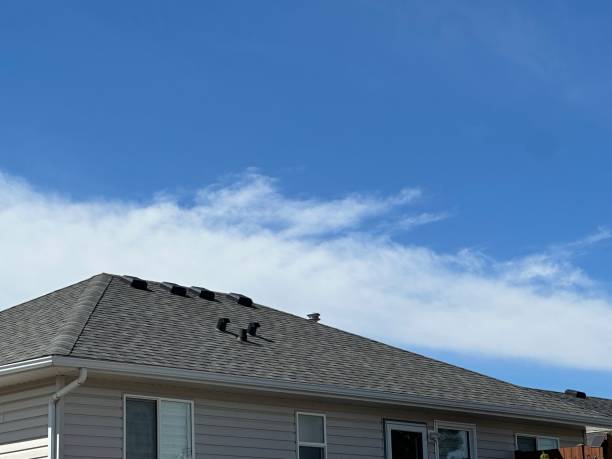 Fast & Reliable Emergency Roof Repairs in Meadview, AZ